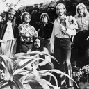 Amazing Rhythm Aces portrait