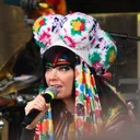 Bjork portrait