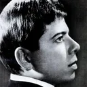 Bobby Goldsboro portrait