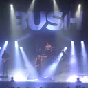 Bush portrait