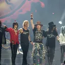 Guns N' Roses portrait