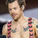 Harry Styles portrait