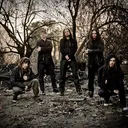 Korn portrait