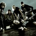 Krokus portrait