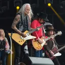 Lynyrd Skynyrd portrait