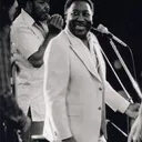 Muddy Waters portrait
