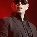 Pitbull portrait