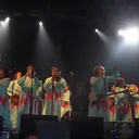 Polyphonic Spree portrait