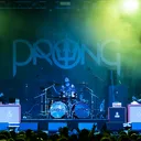 Prong portrait