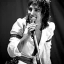 Rod Stewart portrait