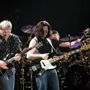Rush portrait