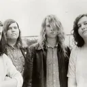 Screaming Trees portrait