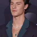 Shawn Mendes portrait