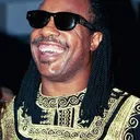 Stevie Wonder portrait