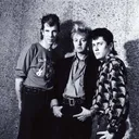 Stray Cats portrait