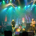 The Black Crowes portrait