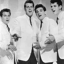 The Dovells portrait