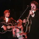 The Everly Brothers portrait