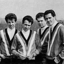 The Hondells portrait