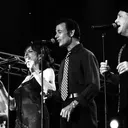 The Manhattan Transfer portrait