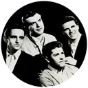 The Vogues portrait