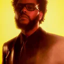 The Weeknd portrait
