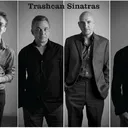 Trash Can Sinatras portrait