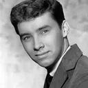 Troy Shondell portrait