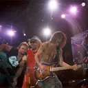 Van Halen portrait
