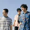Wallows portrait
