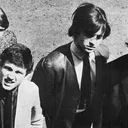 Wayne Fontana & The Mindbenders portrait