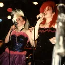 We've Got a Fuzzbox portrait