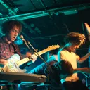 Wombats portrait