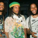 Ziggy Marley And The Melody Makers portrait